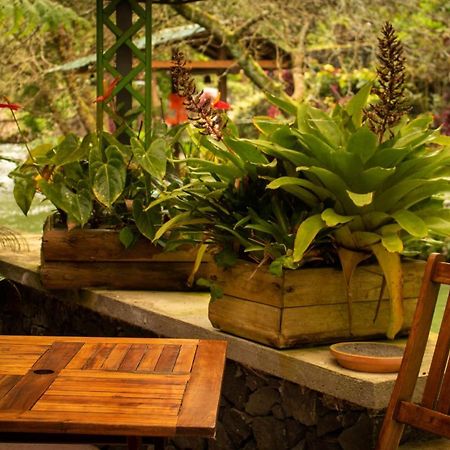 Quinta Da Mo Guest House Фурнаш Екстериор снимка